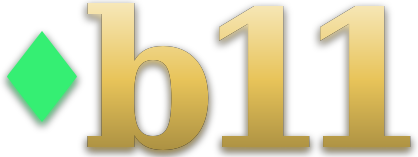 0b11 logo